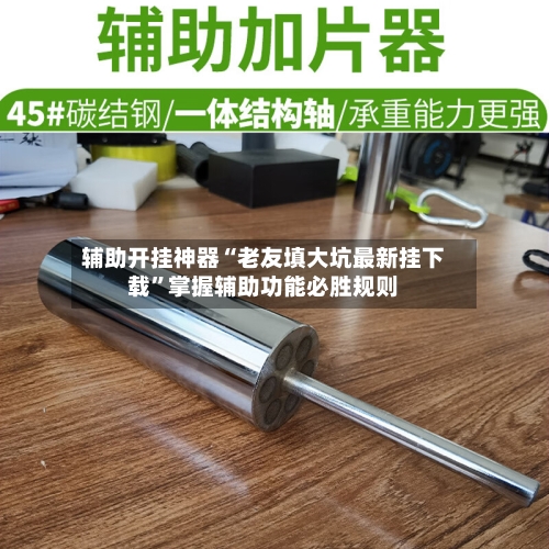 辅助开挂神器“老友填大坑最新挂下载	”掌握辅助功能必胜规则-第1张图片