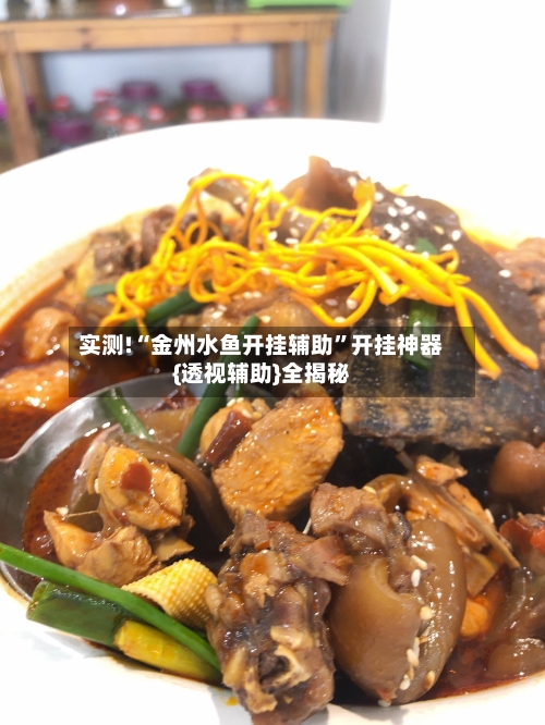实测!“金州水鱼开挂辅助	”开挂神器{透视辅助}全揭秘-第1张图片