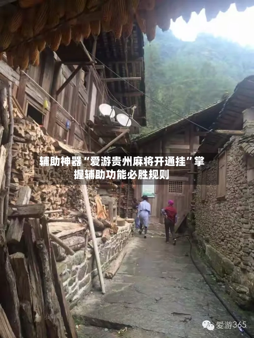辅助神器“爱游贵州麻将开通挂	”掌握辅助功能必胜规则-第2张图片
