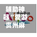 辅助神器“爱游贵州麻将开通挂”掌握辅助功能必胜规则-第3张图片
