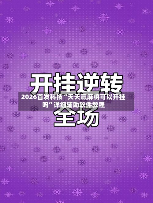 2026首发科技“天天赢麻将可以开挂吗	”详细辅助软件教程-第3张图片