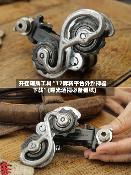 开挂辅助工具“17麻将平台外卦神器下载”(曝光透视必备猫腻)-第1张图片