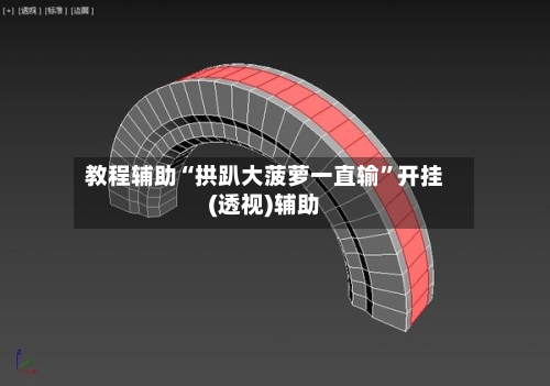 教程辅助“拱趴大菠萝一直输”开挂(透视)辅助-第1张图片