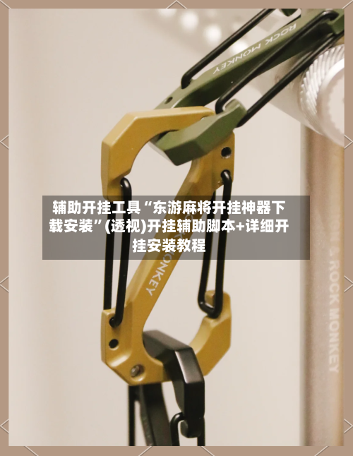 辅助开挂工具“东游麻将开挂神器下载安装	”(透视)开挂辅助脚本+详细开挂安装教程-第3张图片
