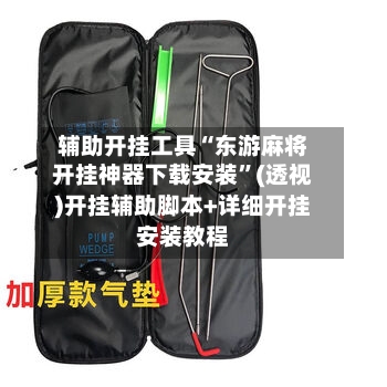 辅助开挂工具“东游麻将开挂神器下载安装”(透视)开挂辅助脚本+详细开挂安装教程-第1张图片