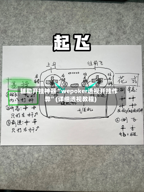 辅助开挂神器“wepoker透视开挂作弊	”(详细透视教程)-第2张图片