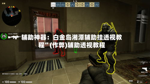辅助神器：白金岛湘潭辅助挂透视教程	”(作弊)辅助透视教程-第2张图片