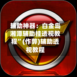 辅助神器：白金岛湘潭辅助挂透视教程”(作弊)辅助透视教程-第3张图片