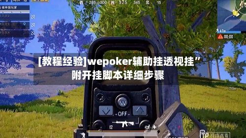 [教程经验]wepoker辅助挂透视挂”附开挂脚本详细步骤-第2张图片