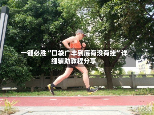 一键必胜“口袋广丰到底有没有挂”详细辅助教程分享-第1张图片