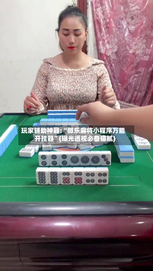 玩家辅助神器:“微乐麻将小程序万能开挂器”(曝光透视必备猫腻)-第2张图片
