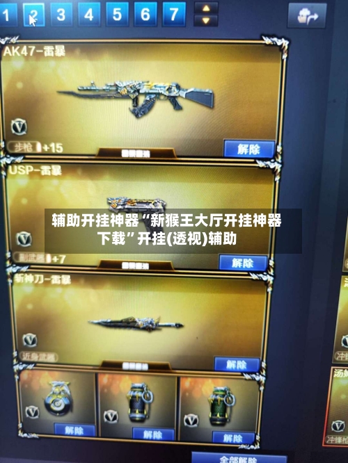 辅助开挂神器“新猴王大厅开挂神器下载	”开挂(透视)辅助-第1张图片