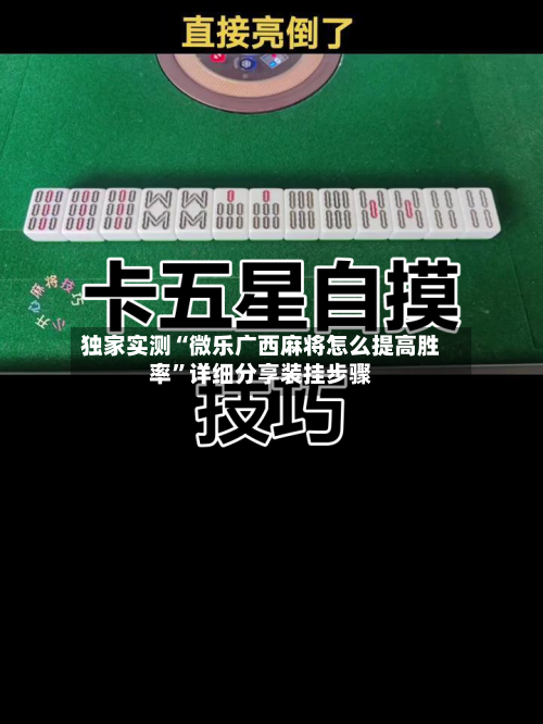 独家实测“微乐广西麻将怎么提高胜率”详细分享装挂步骤-第2张图片