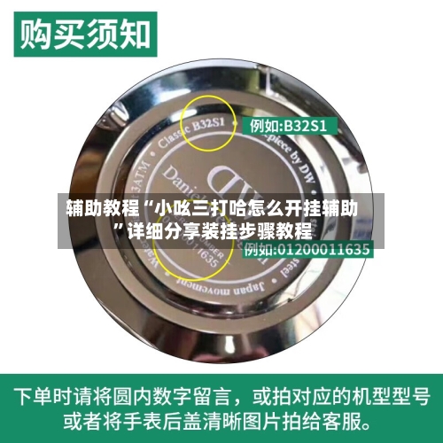 辅助教程“小吆三打哈怎么开挂辅助”详细分享装挂步骤教程-第1张图片
