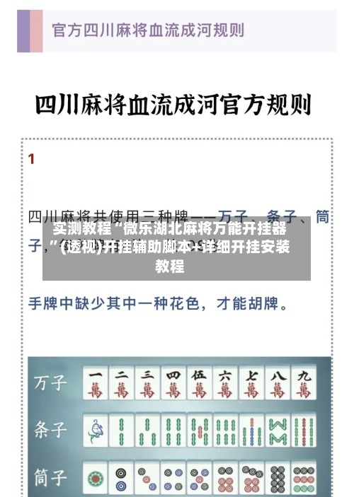 实测教程“微乐湖北麻将万能开挂器”(透视)开挂辅助脚本+详细开挂安装教程-第1张图片