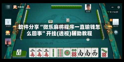 软件分享“微乐麻将程序一直输钱怎么回事	”开挂(透视)辅助教程-第1张图片