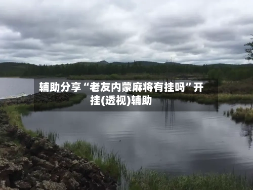 辅助分享“老友内蒙麻将有挂吗	”开挂(透视)辅助-第1张图片