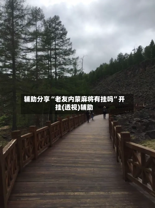 辅助分享“老友内蒙麻将有挂吗”开挂(透视)辅助-第2张图片