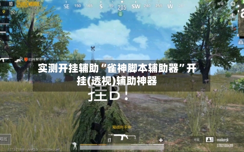 实测开挂辅助“雀神脚本辅助器	”开挂(透视)辅助神器-第3张图片