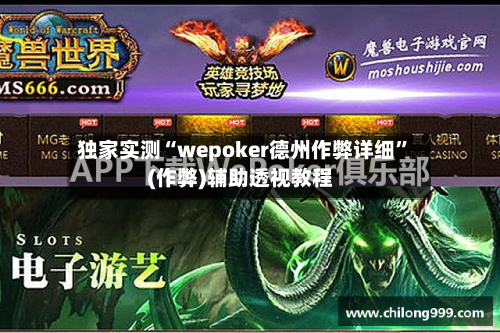 独家实测“wepoker德州作弊详细”(作弊)辅助透视教程-第3张图片