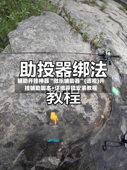 辅助开挂神器“微乐辅助器	”(透视)开挂辅助脚本+详细开挂安装教程-第3张图片
