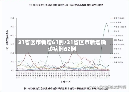 31省区市新增61例/31省区市新增确诊病例62例-第1张图片