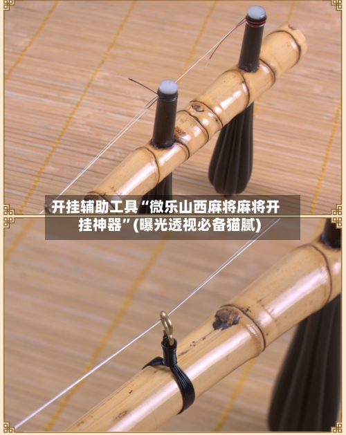 开挂辅助工具“微乐山西麻将麻将开挂神器”(曝光透视必备猫腻)-第1张图片