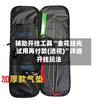辅助开挂工具“金花挂先试用再付款(透视)	”详细开挂玩法-第1张图片