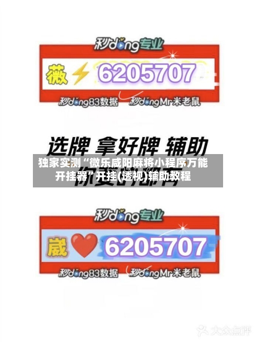 独家实测“微乐咸阳麻将小程序万能开挂器	”开挂(透视)辅助教程-第2张图片