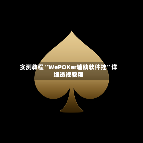 实测教程“WePOKer辅助软件挂”详细透视教程-第1张图片