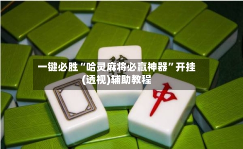 一键必胜“哈灵麻将必赢神器”开挂(透视)辅助教程-第3张图片