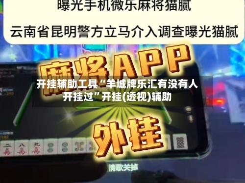 开挂辅助工具“羊城牌乐汇有没有人开挂过”开挂(透视)辅助-第3张图片