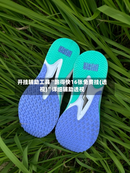 开挂辅助工具“跑得快16张免费挂(透视)	”详细辅助透视-第2张图片