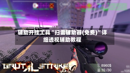 辅助开挂工具“扫雷辅助器(免费)”详细透视辅助教程-第2张图片