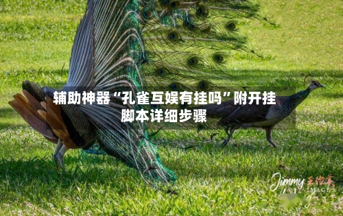 辅助神器“孔雀互娱有挂吗”附开挂脚本详细步骤-第1张图片