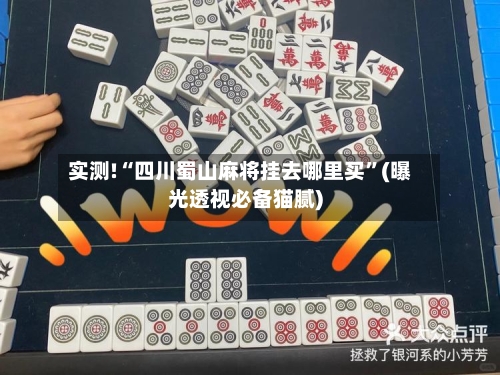 实测!“四川蜀山麻将挂去哪里买”(曝光透视必备猫腻)-第3张图片