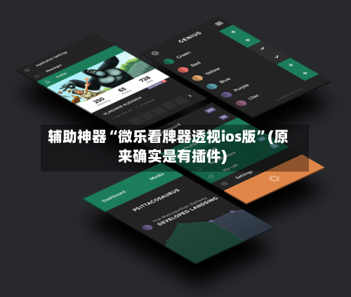 辅助神器“微乐看牌器透视ios版”(原来确实是有插件)-第3张图片