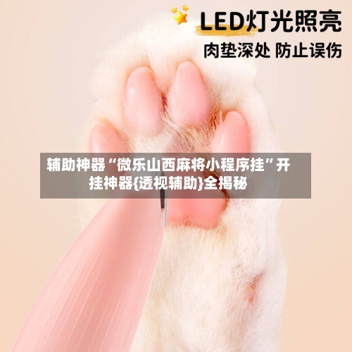 辅助神器“微乐山西麻将小程序挂”开挂神器{透视辅助}全揭秘-第2张图片