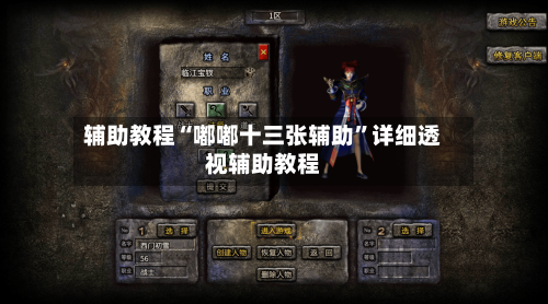 辅助教程“嘟嘟十三张辅助	”详细透视辅助教程-第3张图片