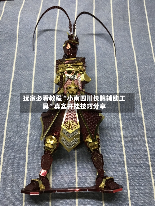 玩家必看教程“小南四川长牌辅助工具	”真实开挂技巧分享-第1张图片