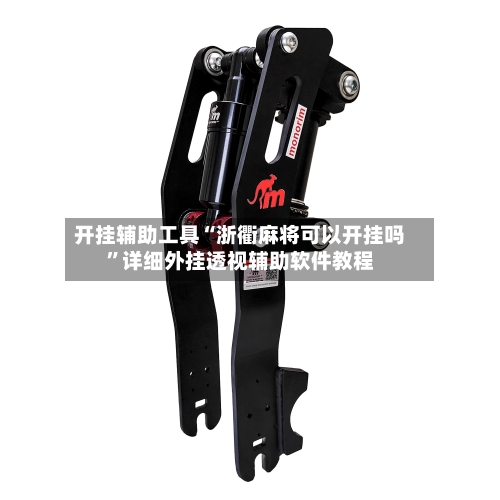 开挂辅助工具“浙衢麻将可以开挂吗	”详细外挂透视辅助软件教程-第1张图片