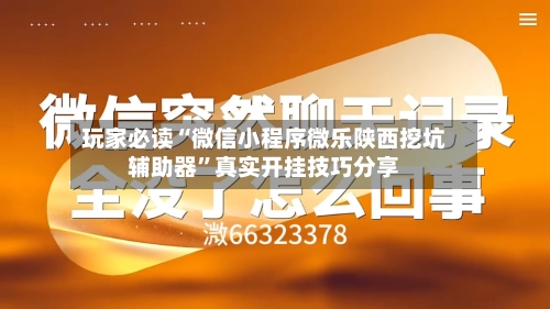 玩家必读“微信小程序微乐陕西挖坑辅助器”真实开挂技巧分享-第2张图片