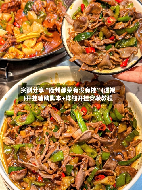实测分享“衢州都菜有没有挂”(透视)开挂辅助脚本+详细开挂安装教程-第1张图片