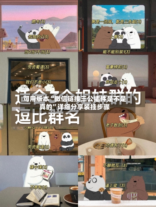可用版本“微信链接三公插件是不是真的	”详细分享装挂步骤-第2张图片