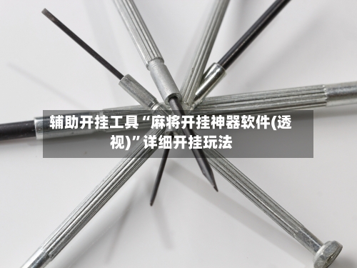 辅助开挂工具“麻将开挂神器软件(透视)”详细开挂玩法-第3张图片