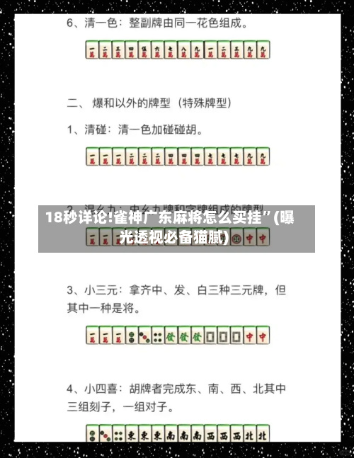 18秒详论!雀神广东麻将怎么买挂	”(曝光透视必备猫腻)-第1张图片