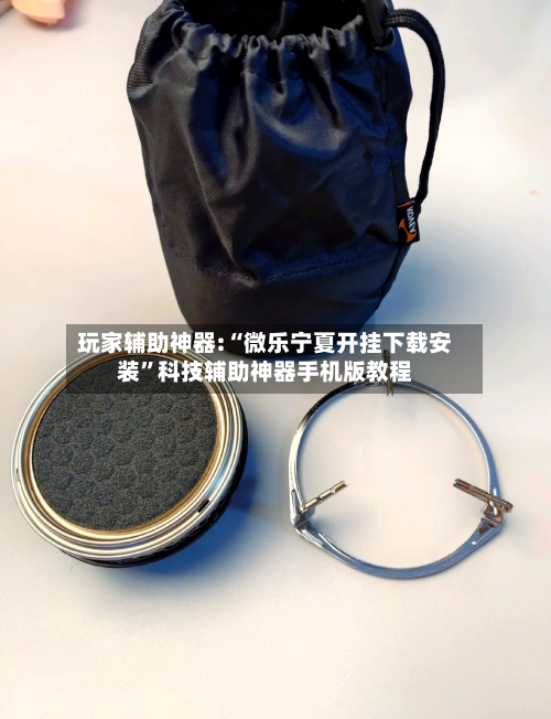 玩家辅助神器:“微乐宁夏开挂下载安装”科技辅助神器手机版教程-第1张图片