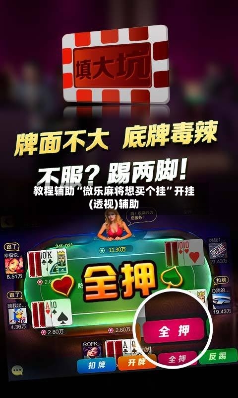 教程辅助“微乐麻将想买个挂”开挂(透视)辅助-第2张图片
