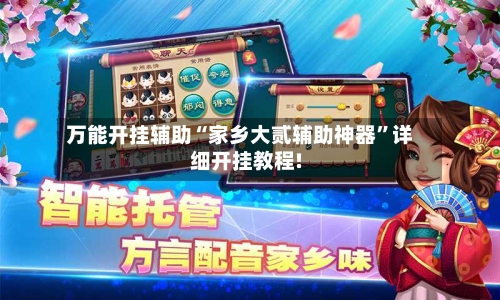 万能开挂辅助“家乡大贰辅助神器”详细开挂教程!-第1张图片