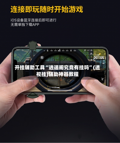 开挂辅助工具“逍遥阁究竟有挂吗	”(透视挂)辅助神器教程-第2张图片